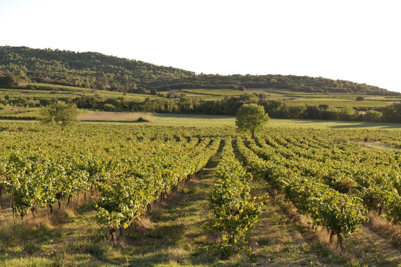 Domaine De Pelican Gignac  Exterior foto