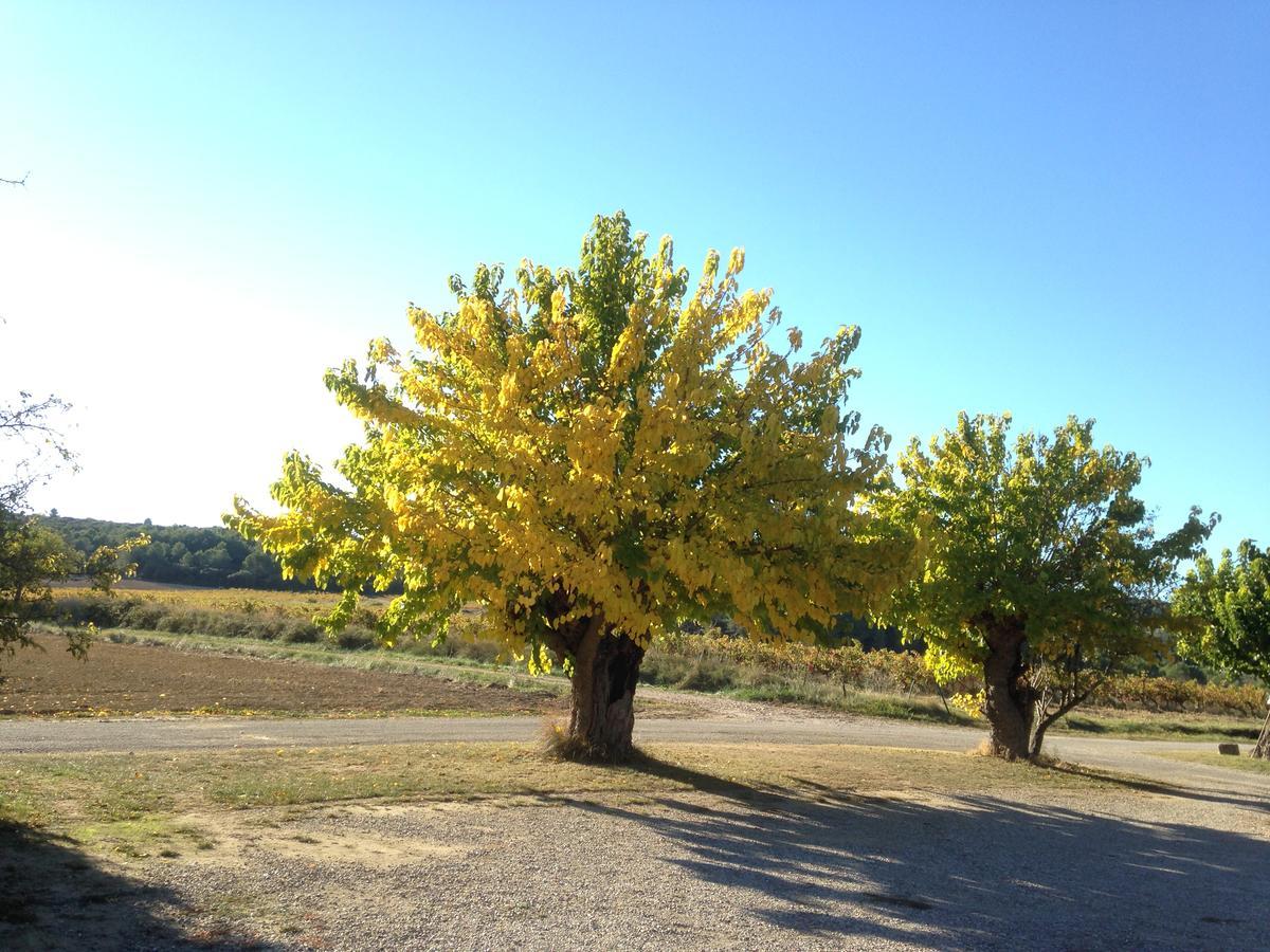 Domaine De Pelican Gignac  Exterior foto